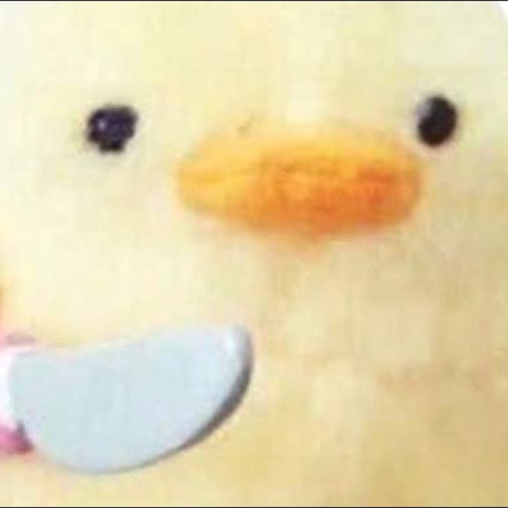 Meet your Posher, Rosario